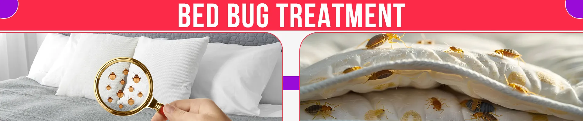 carpet cleaning in brooklyn, carpet cleaning in brooklyn, carpet cleaning brooklyn, carpet cleaners in brooklyn, carpet cleaners in brooklyn, commercial carpet cleaning, commercial carpet cleaning in brooklyn, brooklyn rug cleaners, rug cleaning services in brooklyn, same day carpet cleaning, same day rug cleaning