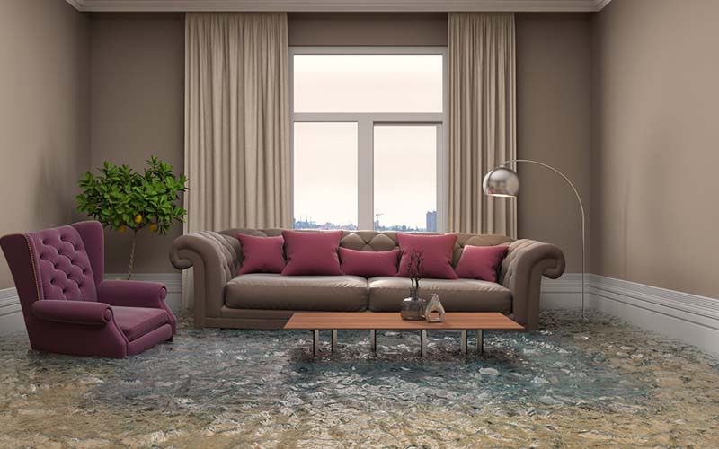 carpet cleaning in brooklyn, carpet cleaning in brooklyn, carpet cleaning brooklyn, carpet cleaners in brooklyn, carpet cleaners in brooklyn, commercial carpet cleaning, commercial carpet cleaning in brooklyn, brooklyn rug cleaners, rug cleaning services in brooklyn, same day carpet cleaning, same day rug cleaning