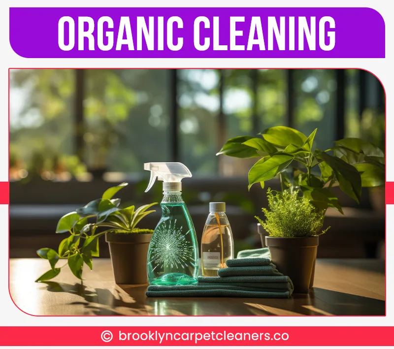 carpet cleaning in brooklyn, carpet cleaning in new york, carpet cleaning brooklyn, carpet cleaners in brooklyn, carpet cleaners in new york, commercial carpet cleaning, commercial carpet cleaning in brooklyn, brooklyn rug cleaners, rug cleaning services in brooklyn, same day carpet cleaning, same day rug cleaning