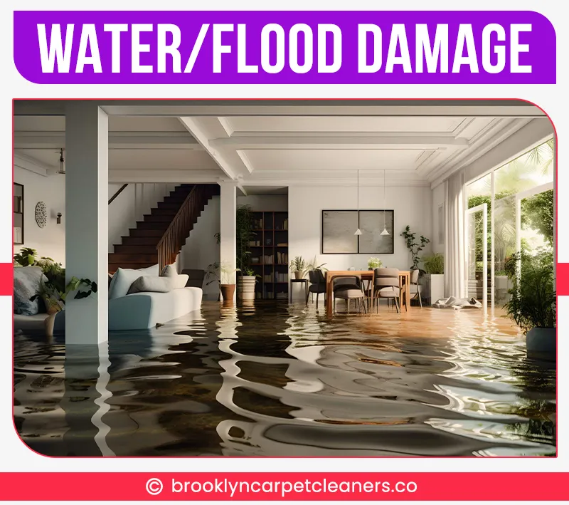 carpet cleaning in brooklyn, carpet cleaning in new york, carpet cleaning brooklyn, carpet cleaners in brooklyn, carpet cleaners in new york, commercial carpet cleaning, commercial carpet cleaning in brooklyn, brooklyn rug cleaners, rug cleaning services in brooklyn, same day carpet cleaning, same day rug cleaning